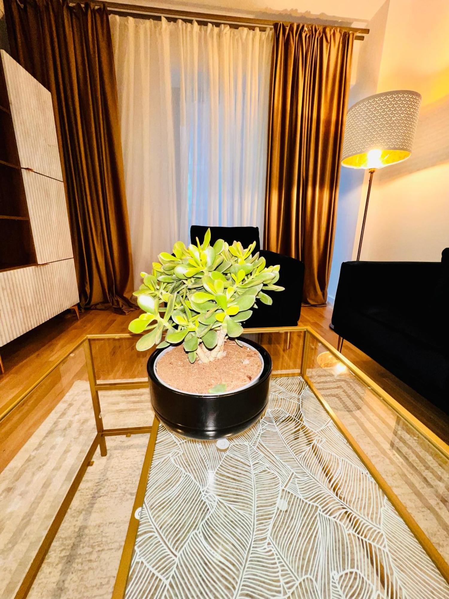 Cosy Stay Bucureşti Exterior foto
